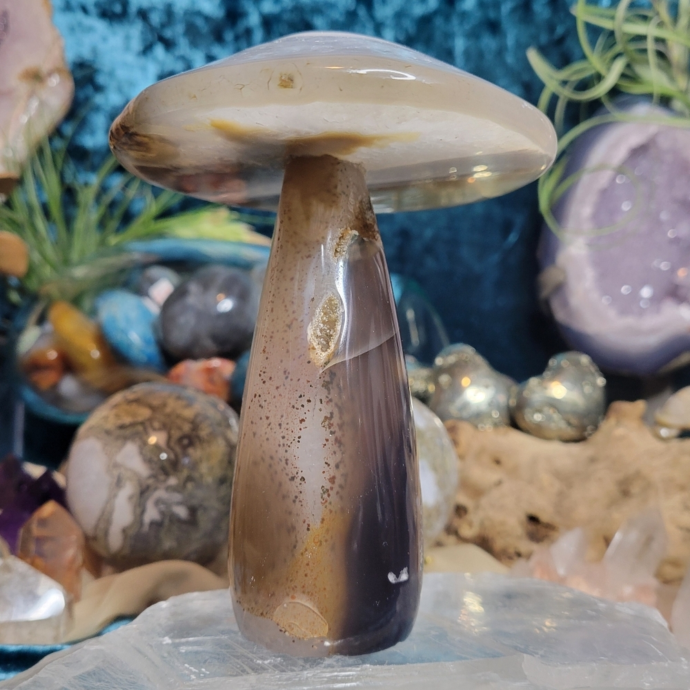 High Grade Druzy Agate Mushie Carving From Brazil - 1.6lbs